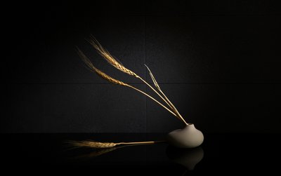  作： 