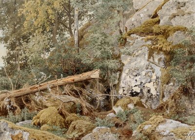 森の中の苔むした岩 作： Werner Holmberg