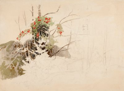  作： Werner Holmberg