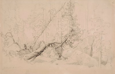  作： Werner Holmberg