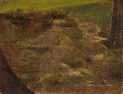  作： Werner Holmberg