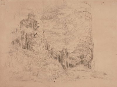 無題 作： Werner Holmberg