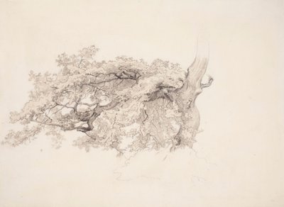  作： ヴェルナー・ホルムバーグ