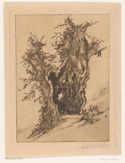 スイスのゼーリスベルクにある中空の木 中空の木（原題） 作： Wijnand Otto Jan Nieuwenkamp (signed by artist)