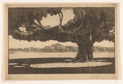 ジョグジャカルタのスルタンの宮殿の庭にあるワリンギンの木 大きな木 (原題) 作： Wijnand Otto Jan Nieuwenkamp (signed by artist)