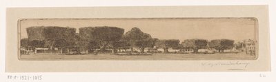 ジョグジャカルタのスルタンの宮殿の庭にあるワリンギンの木 ジョグジャカルタの広場（原題） 作： Wijnand Otto Jan Nieuwenkamp (signed by artist)