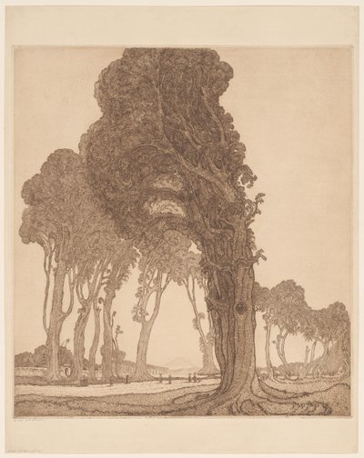 ロンボク島の dessa Cakranegara (Tjakranegara) の幹線道路の一部 大いなる道（原題） 作： Wijnand Otto Jan Nieuwenkamp