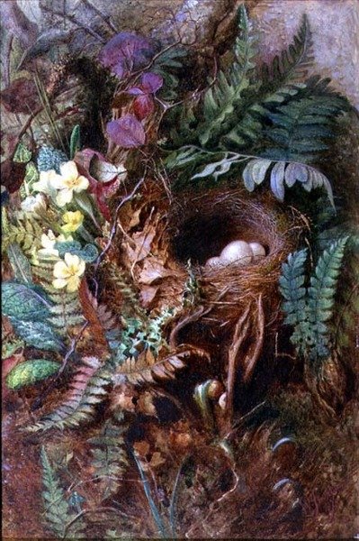 鳥の巣 作： Wilfred Jenkins
