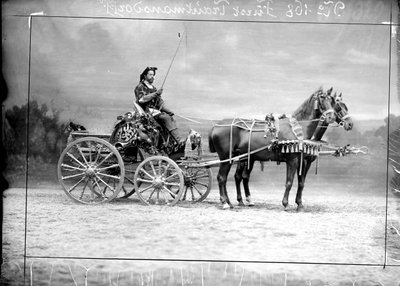 トラウトマンスドルフ・ヴァインスベルクのシャルル王子（馬車運転中 作： Wilhelm J. Burger