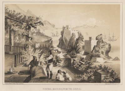 フンシャル、マデイラ、カラル、1885年 作： Wilhelm Joseph Heine