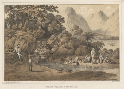 カナカビレッジ小笠原諸島、1855 作： Wilhelm Joseph Heine