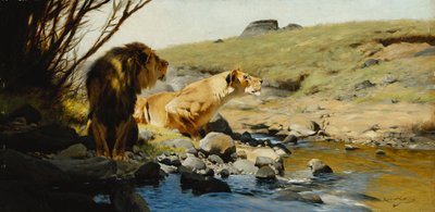 ストリームでライオンとライオネス、 作： Wilhelm Kuhnert