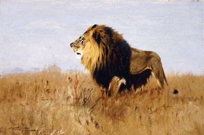 獲物を探すライオン 作： Wilhelm Kuhnert
