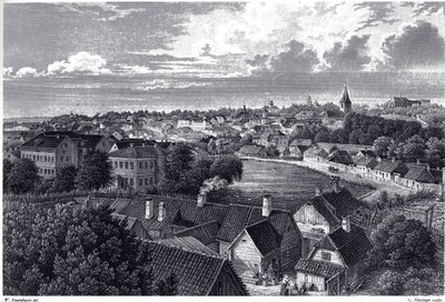ドルパットの眺め、c。 1850年 作： Wilhelm Siegfried Stavenhagen