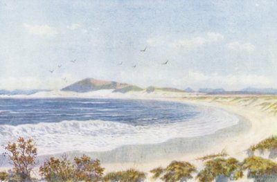 ブラウベルグとテーブル湾の頭（カラーリトグラフ） 作： Wilhelm Westhofen