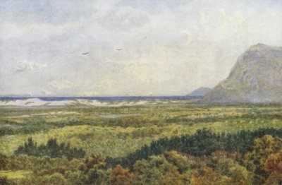 コンスタンシア渓谷とフォルス湾、ケープポイント（カラーリトグラフ） 作： Wilhelm Westhofen