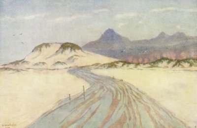 フィッシュフック・ビーチにて、遠くにノルドフック山脈（カラーリトグラフ） 作： Wilhelm Westhofen