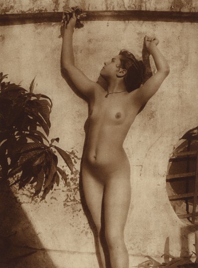 イタリア人女性（シチリア出身）（白黒写真） 作： Baron Wilhelm von Gloeden