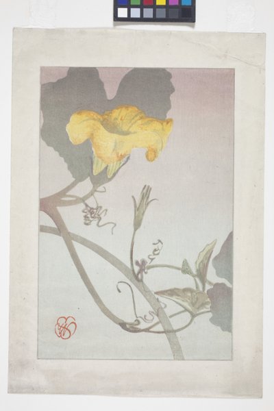 Flower Study   1455252   ja       japanese Successfully Translated  Original: Illustration to Fieldings Amelia Translat: Illustration to Fielding
