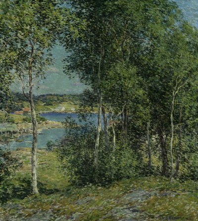 A Family of Birches, 1907年。 作： Willard Leroy Metcalf