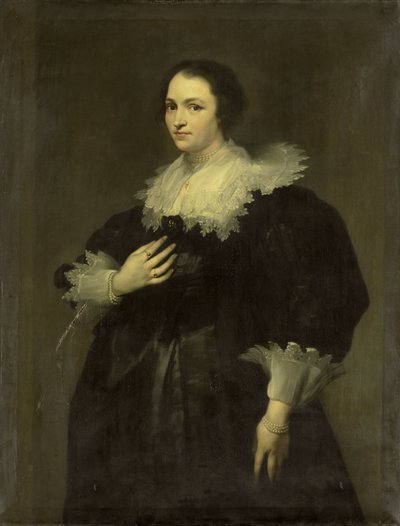 作： Willem Bartel van der Kooi