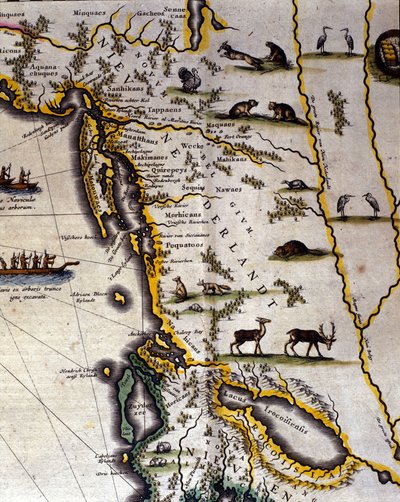Wilhelm Blaeu（1571-1638）が17世紀に作成したオランダの地図に、アメリカとカナダの領土、毛皮をかぶった動物たちを描いたものです。中世の習慣で北が下になっています。 作： Willem Blaeu