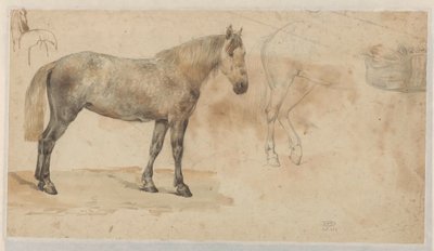 馬の研究 作： Willem Carel Nakken