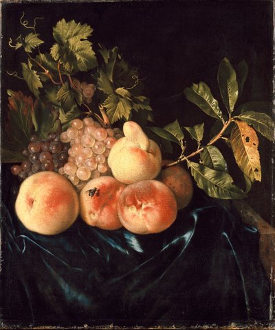 桃と葡萄の静物画（1705年 作： Willem Frederiksz van Royen