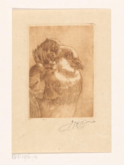ハトの研究 作： Willem Hendrik Bik (signed by artist)