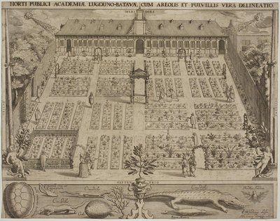 ライデンの植物園 作： Willem Isaaksz Swanenburgh