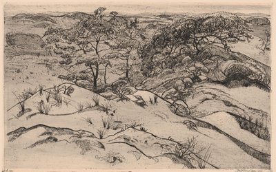砂丘の風景 作： Willem Jansen (graveur) (signed by artist)