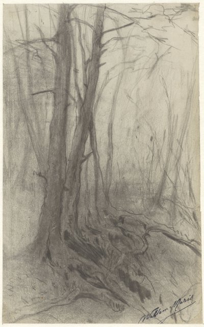 森の木 作： Willem Maris