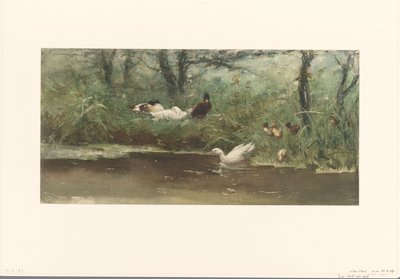 溝側のカモ 作： Willem Maris