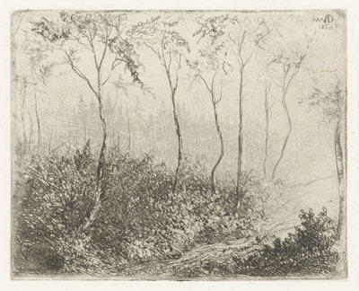 森林景観 作： Willem Matthias Jan van Dielen