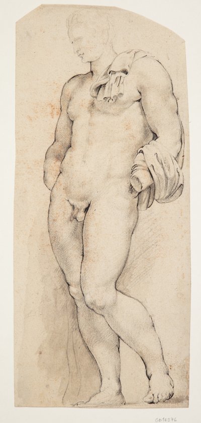アンティーク彫刻「Belvedere Antinous」の正面が半分左を向いている 作： Willem Panneels
