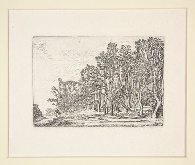 2 つの生け垣、「風景のセット」のプレート 6 作： Willem Pietersz. Buytewech