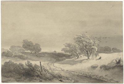 憂鬱な天候の砂丘の風景 作： Willem Roelofs (I)