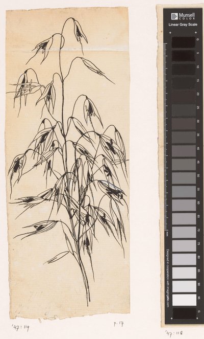 持つため 作： Willem Wenckebach