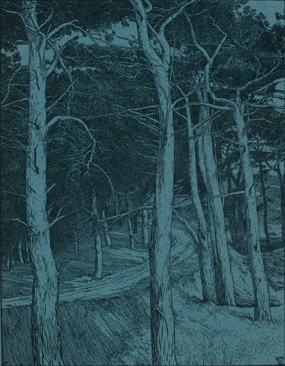 ウッドランド、c1912 作： Willem Wenckebach