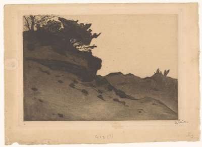 砂漂流の低木 作： Willem Witsen (signed by artist)