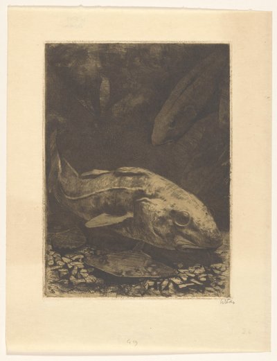 魚類・水草 作： Willem Witsen (signed by artist)