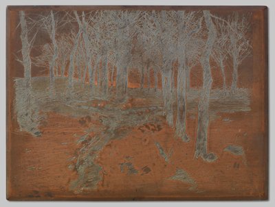 エイウェイクスホーフェの森 作： Willem Arnoldus Witsen