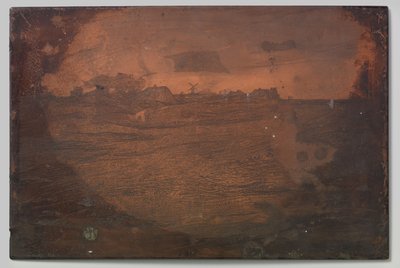 ヒースの風景 作： Willem Arnoldus Witsen