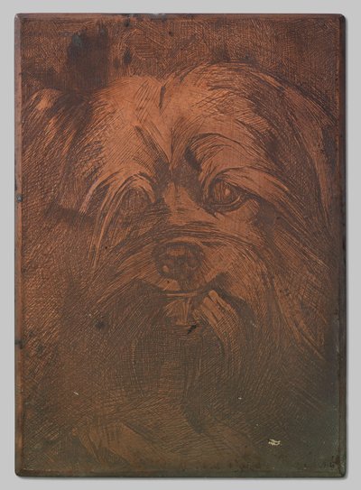 犬フィーバス 作： Willem Arnoldus Witsen