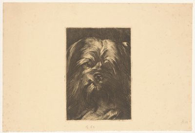 犬フィーバス 作： Willem Arnoldus Witsen