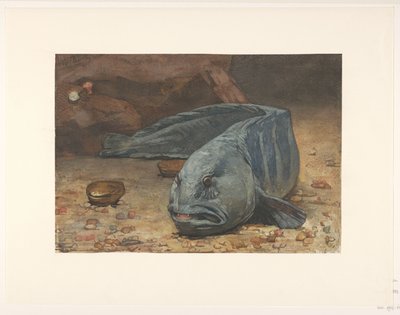 水槽の底にいるオオカミ 作： Willem Arnoldus Witsen