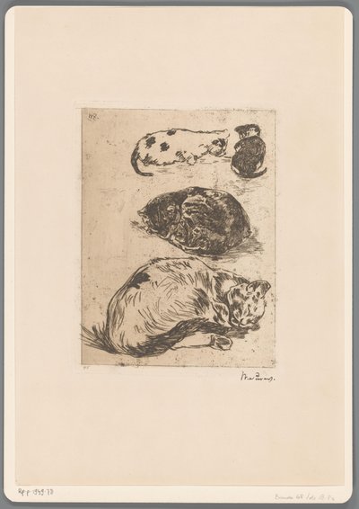 猫の研究（原題） 作： Willem de Zwart (signed by artist)