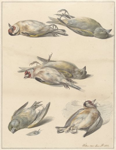 6羽の死んだ鳥 作： Willem van Leen