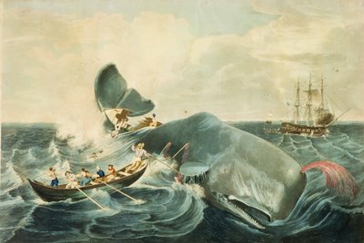 マッコウクジラの捕獲 J.ヒル版 1835年発行 （カラー・アクアチント） 作： ウィリアム (後) ページ