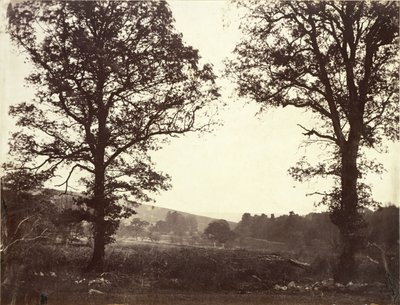 ニレの木のある風景、アシュダウン、英国 作： William 2nd Earl of Craven